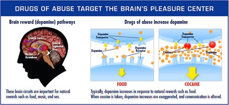 Science of Addiction