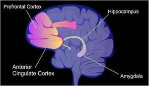 Science of Addiction